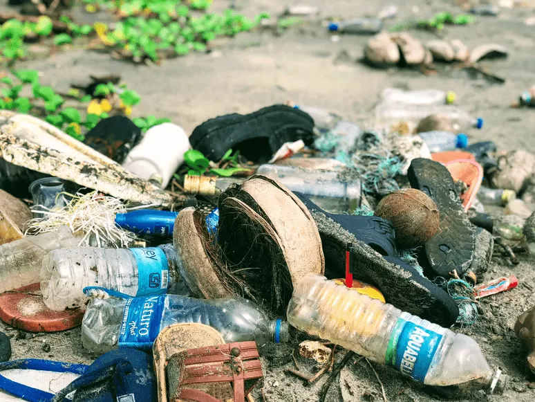 Single-use Plastic Packaging