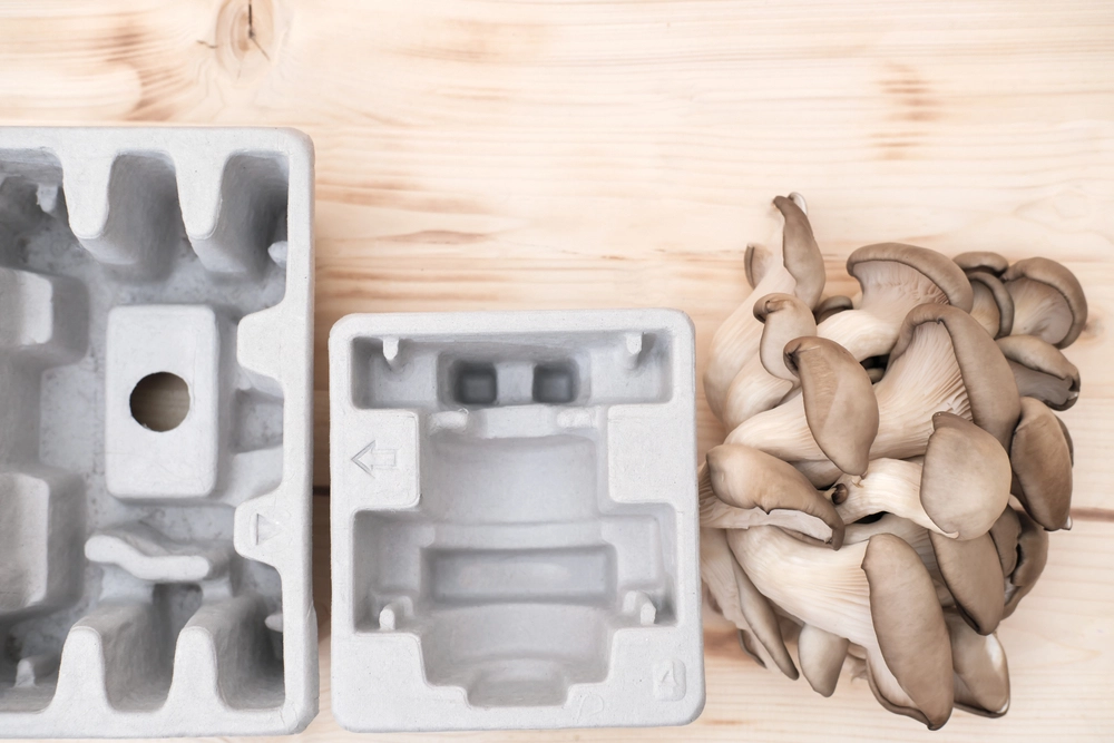 Mycelium Packaging Applications: Mushrooms in Packaging Market