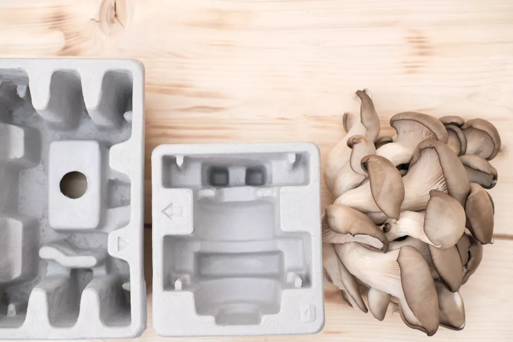 plant-based packaging