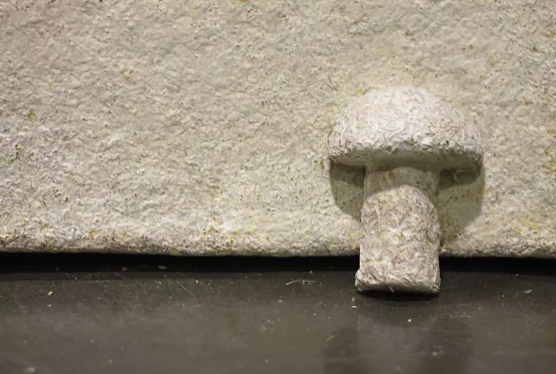 mycelium material
