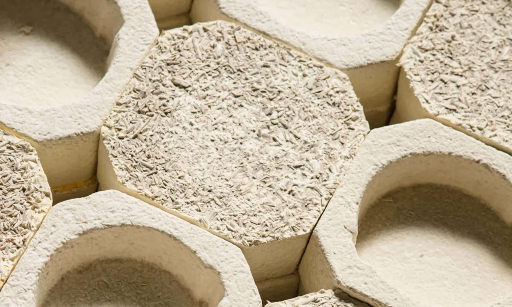 mushroom mycelium packaging