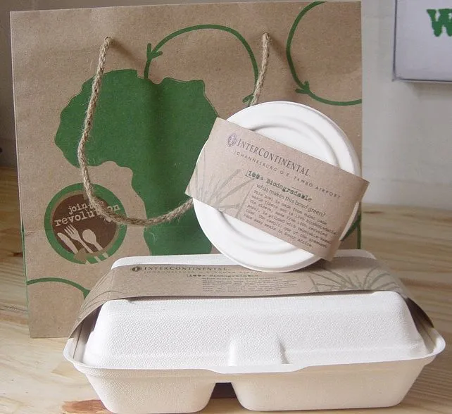 Bagasse packaging