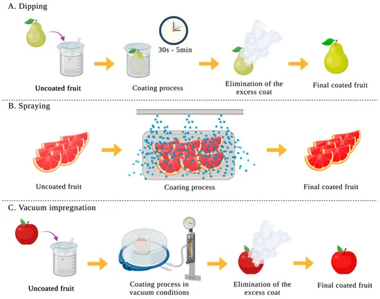 edible coatings for food